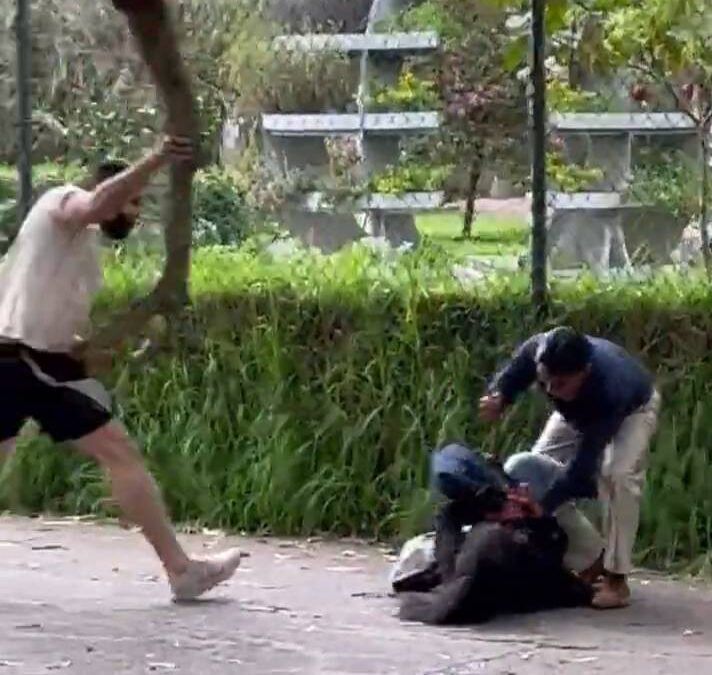 Video registró presunto intento de femicidio con un cuchillo en un parque en el norte de Quito; un transeúnte intervino en el suceso