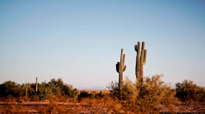 Rescatan dos bebés abandonados por ‘coyotes’ en el desierto de Arizona