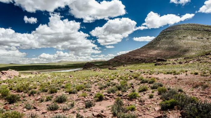 Hermanos fallecieron abrazados en el desierto.