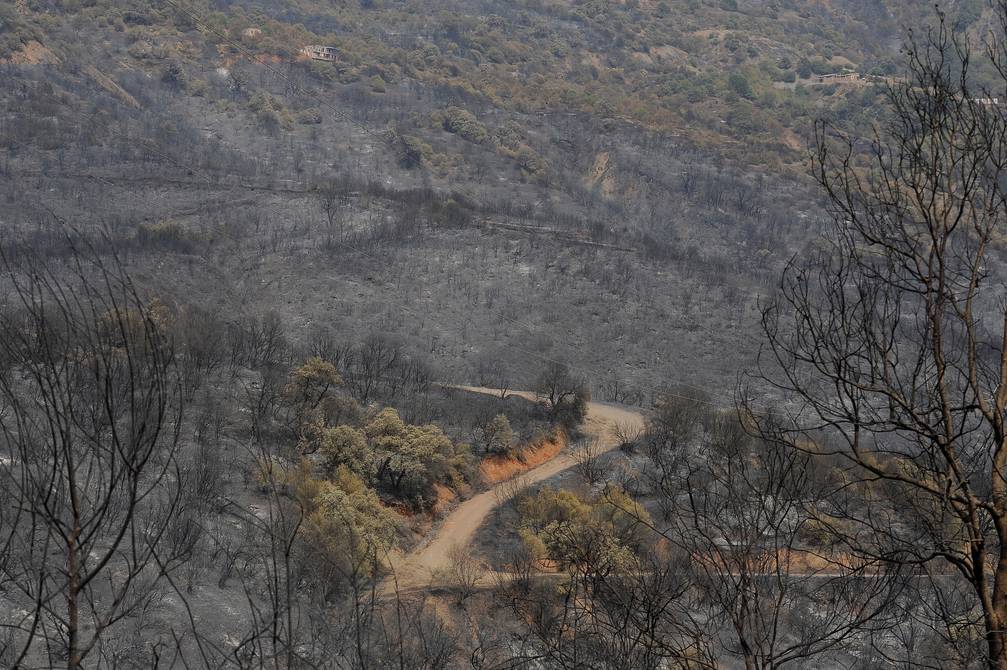 Incendios forestales en Argelia dejan dos muertos y varios heridos