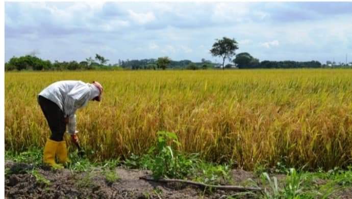 Gremio agricola posee un listado de pendientes que aspira que la Prefectura cumpla