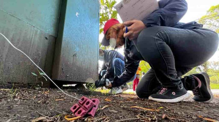 Control de roedores se realiza en parques y plazas de Quito