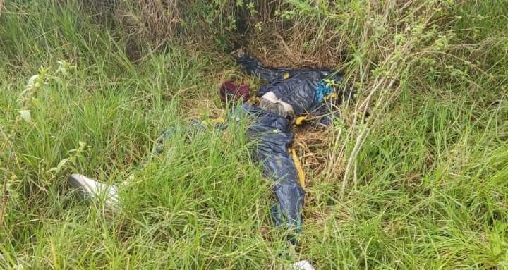 Impactante hallazgo en la ruta VIVA en menos de una semana.