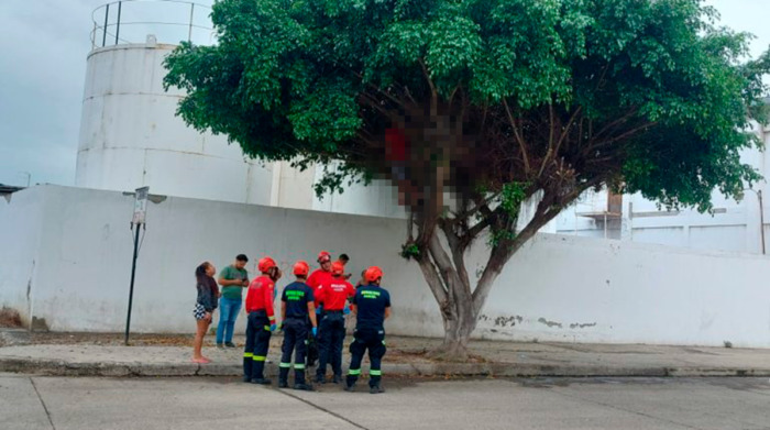 Un hombre fue hallado colgado de un árbol en Manta