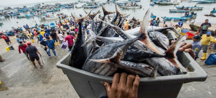 Ecuador preside el acuerdo mundial de Pesca ilegal y no declarada