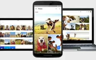 Google borrará el archivo de álbumes de fotos: Pasos para no perder las imágenes