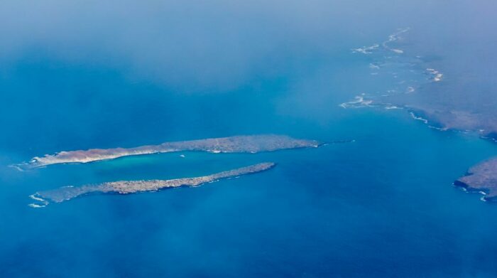 Ataque de un tiburón a una turista en Galápagos