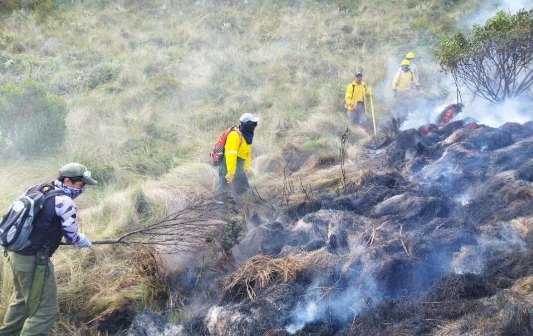 Imbabura lidera en el país la lista de incendios forestales, cuyas llamas han consumido 1.609 hectáreas.