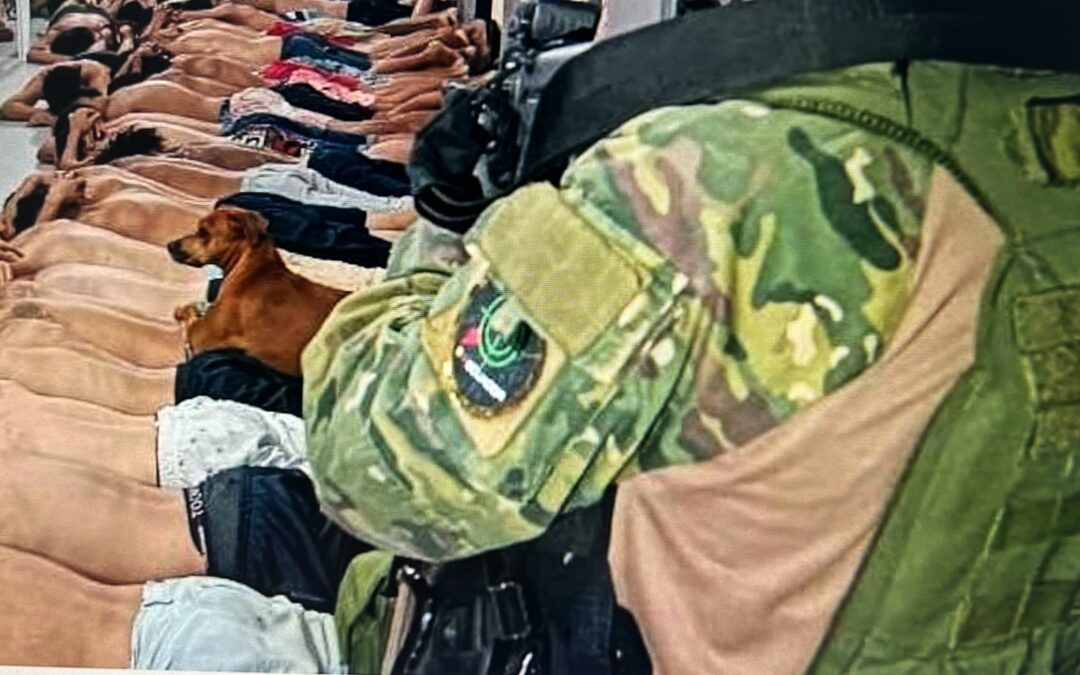 ¿A dónde fueron a parar los animales domésticos hallados esta semana en la Penitenciaría del Litoral?