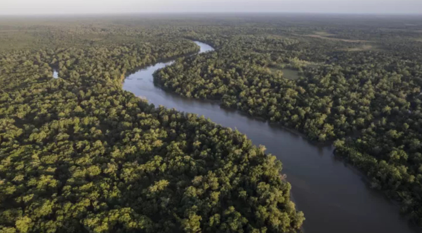 La expedición que busca demostrar que el Amazonas es el río más largo del mundo.