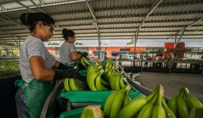 Exportadores piden reforma tributaria para reducir los impactos económicos de la inseguridad