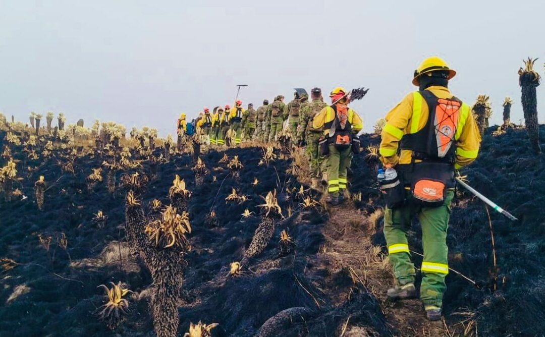 Se quemaron 800 hectáreas por incendio forestal en la Reserva El Ángel