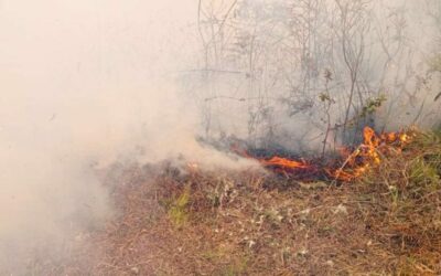 Ecuador inicia la semana con 22 incendios forestales