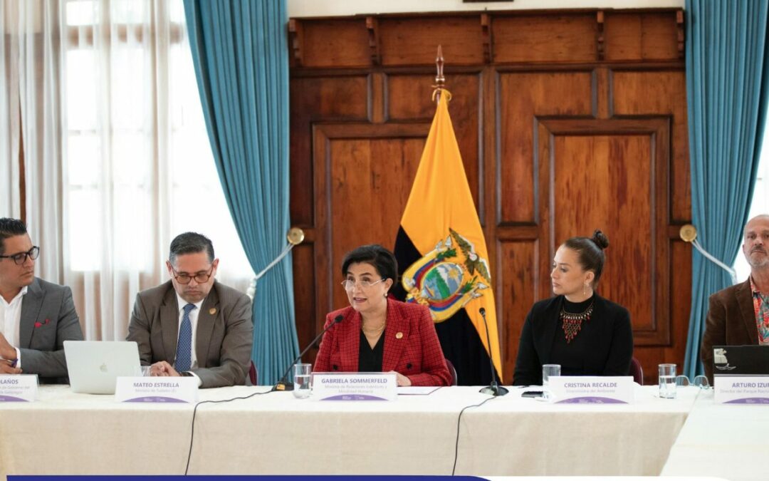 USD 361 millones recibió Ecuador por cooperación internacional durante el año de Gobierno de Daniel Noboa, según la Cancillería