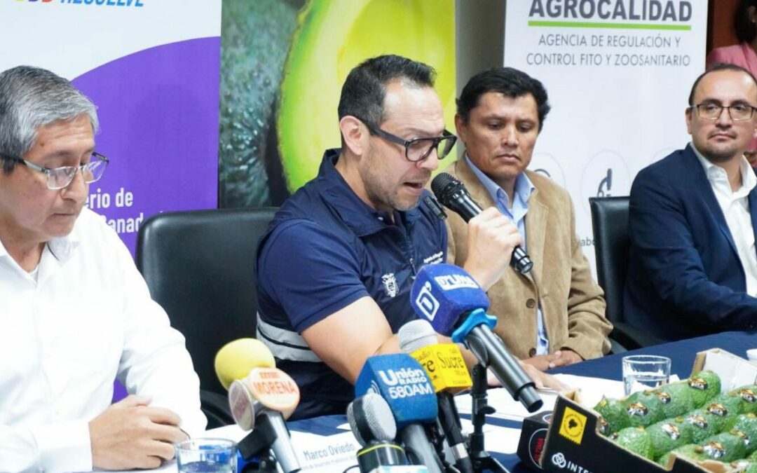 Ecuador exporta pitahaya roja y aguacate variante Hass hacia Argentina