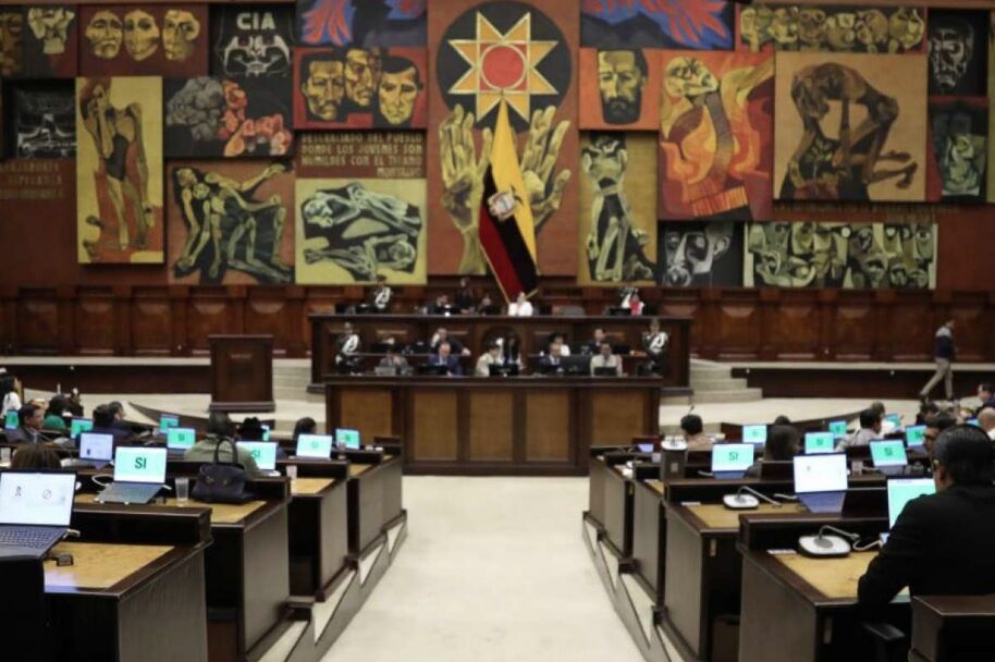 Asamblea analizó en primer debate la Ley de Solidaridad Nacional