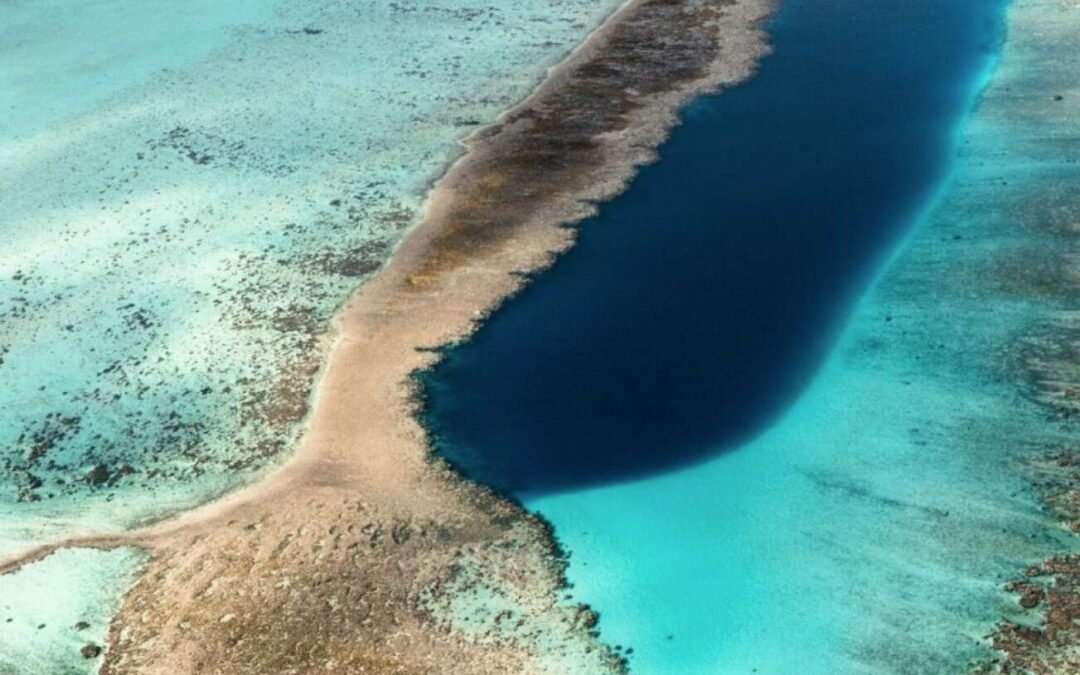 Primer tren de olas del tsunami llegaron a Galápagos