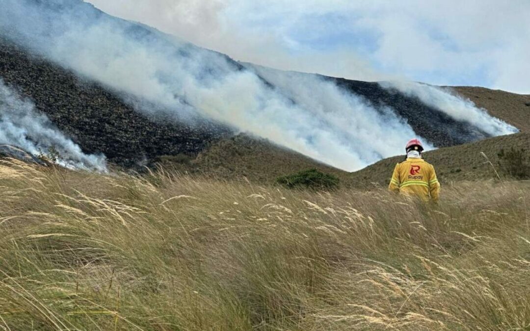 Cotacachi: Incendio forestal en los páramos de Piñán afecta 900 hectáreas