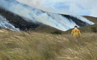 Cotacachi: Incendio forestal en los páramos de Piñán afecta 900 hectáreas
