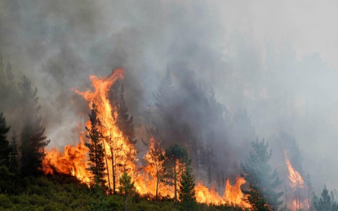 Ecuador presenta estrategia nacional para empoderamiento climático