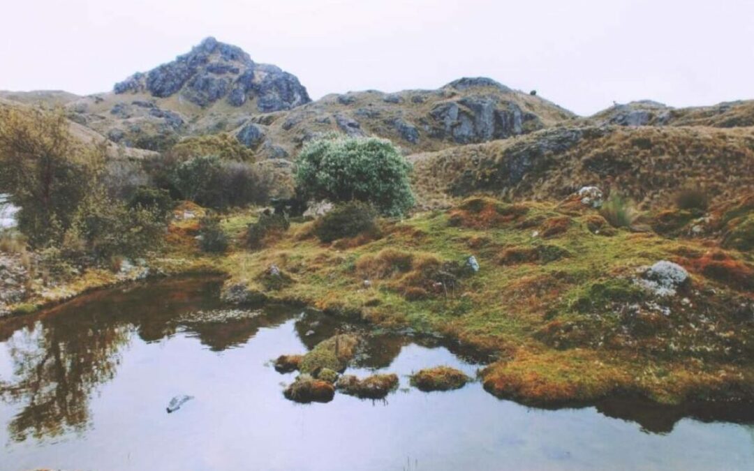 Gobierno revoca la licencia ambiental del proyecto minero Loma Larga tras informes de Cuenca y Azuay