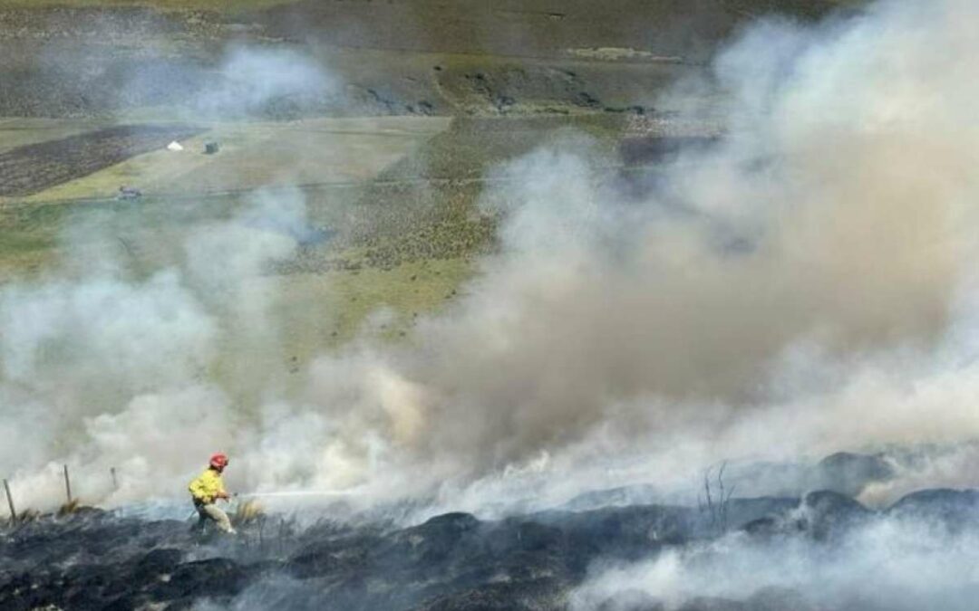 Guardaparques y bomberos combaten incendios forestales en Cotopaxi y Chimborazo