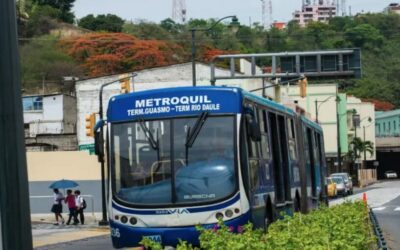 La Metrovía será gratuita el 1 de enero