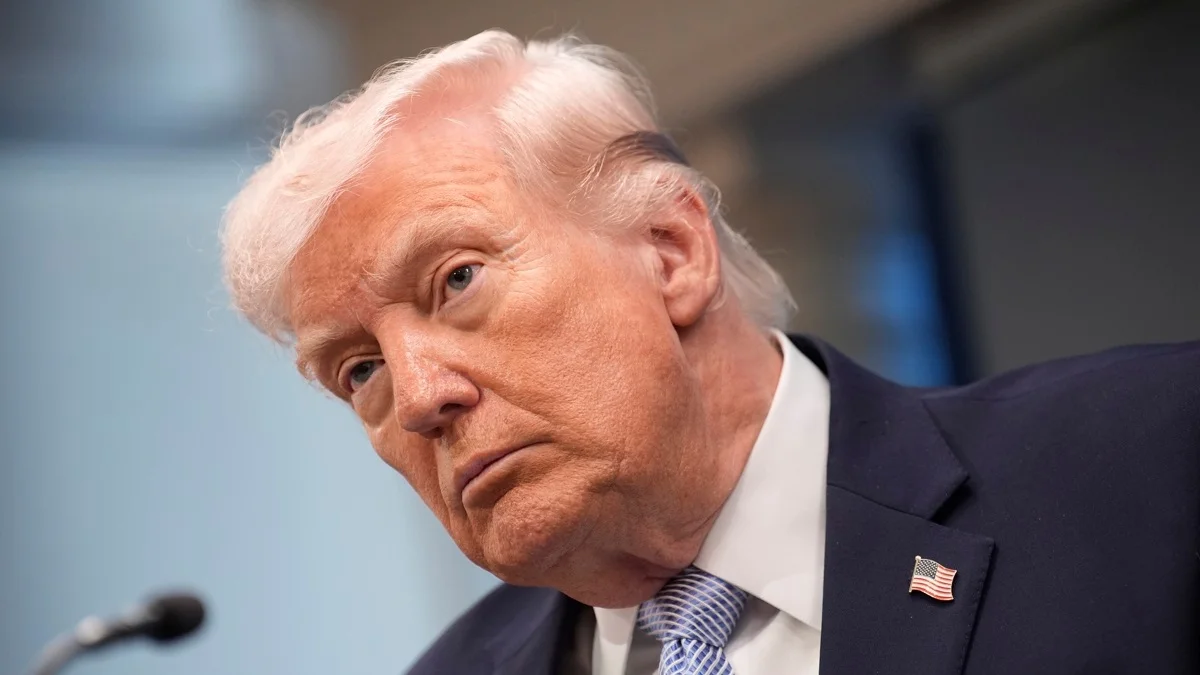 ebd44b3eb0bf613a8d3445d8afa28aeccb95619b.jpg_1103261913