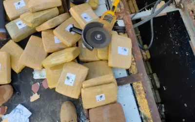 Militares decomisan casi una tonelada de marihuana en Carchi
