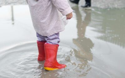 El Niño amenaza con volver: 82% de probabilidades de que se forme en 2026