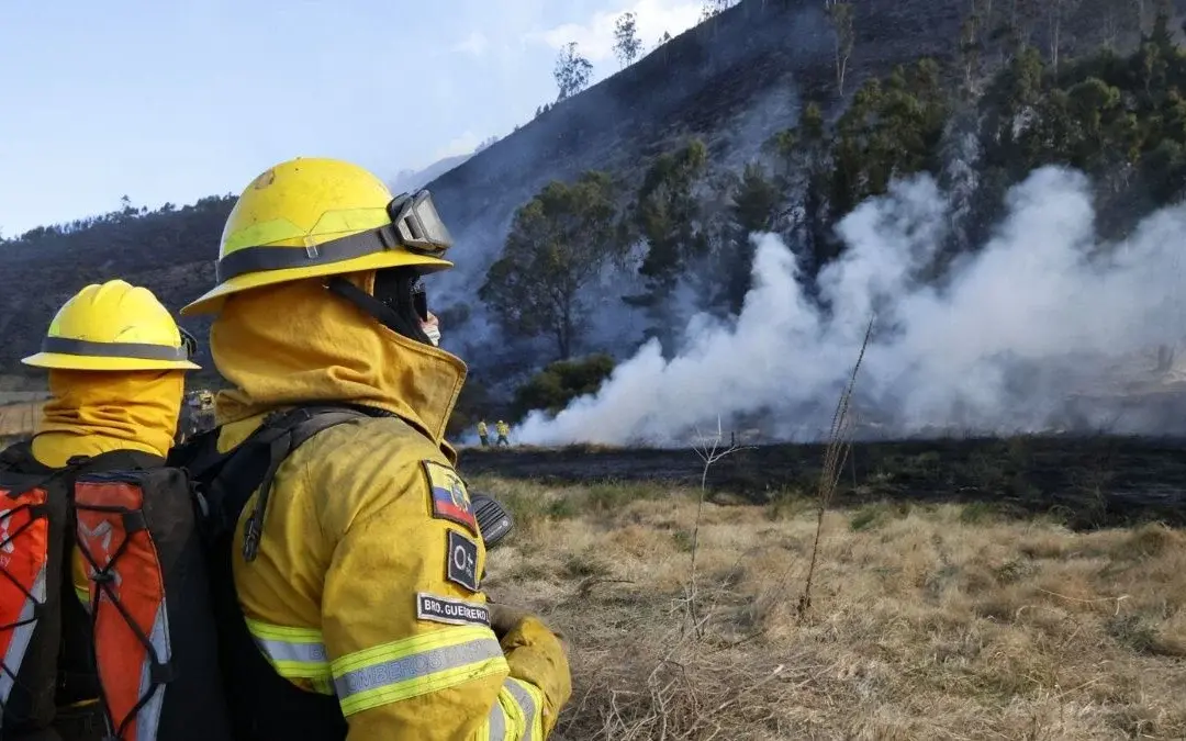 Ocho incendios forestales permanecen activos en Ecuador este jueves 13 de agosto
