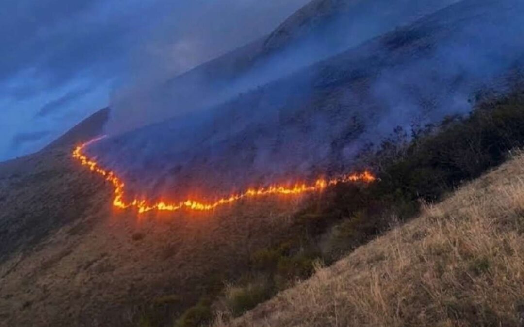 Incendio forestal afecta unas 200 hectáreas en la Reserva Ecológica Los Ilinizas