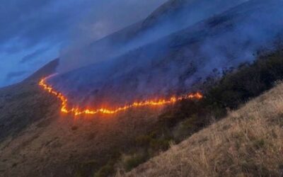 Incendio forestal afecta unas 200 hectáreas en la Reserva Ecológica Los Ilinizas